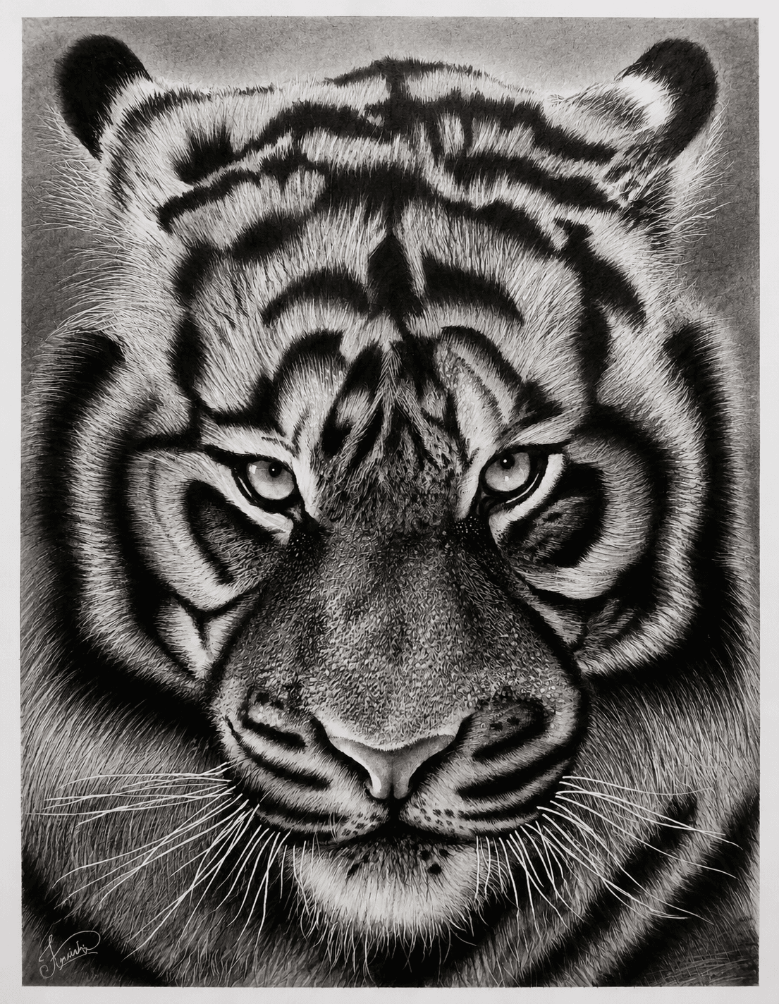 Sovereign Gaze by Krishna Kumar