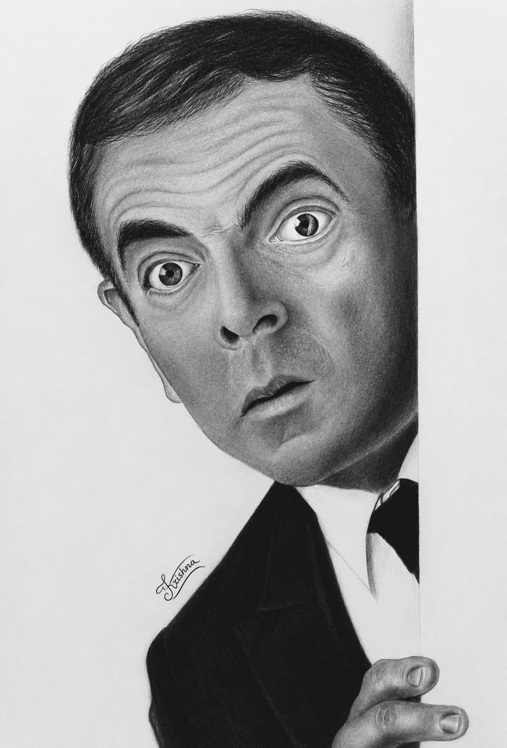 The Curious Mr. Bean by Krishna Kumar